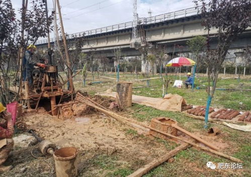 沿江高鐵肥東段迎關(guān)鍵節(jié)點(diǎn) 店埠河特大橋啟動勘測，為2020年開工建設(shè)鋪路